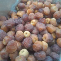 فروش خرمامرداسنگ درجه یک