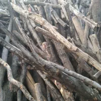 فروش فوری 15تن چوب زغالی