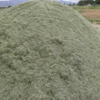 کاه یونجه درجه یک