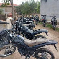 تریل راتو مزایده