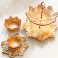 ظروف رزینی