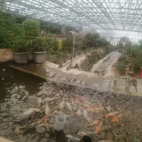 خ ر ی د ا ر وام ازدواج خودم کارمندم