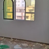 سمیه نجات الهی ۵۴ متر نقاشی شده تخلیه