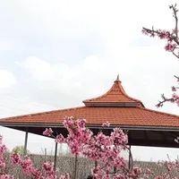 اجرای سقف شیروانی وآلاچیق