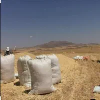 کاه|خوردنی و آشامیدنی|دلیجان, |دیوار