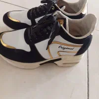 کفش ،کتونی|کیف، کفش، کمربند|شهریار, شهریار|دیوار