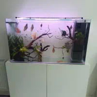 اکواریوم سامپ