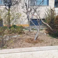 شهرک-غرب-250متر-یک-واحد-از-دو-واحد-ویلایی