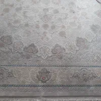 فرش ۱۲ متری نخ تورک|فرش|مبارکه, |دیوار