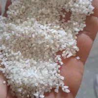 انواع برنج هندی و پاکستانی|عمدهفروشی|شادگان, |دیوار