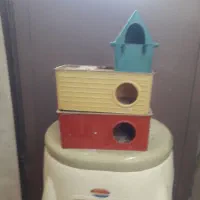 جاه تخمی پرنده مرغ عشق وفنج  ۳ عدد