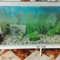 اکواریوم با وسایل