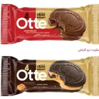 استخدام ویزیتور حضوری خانم و آقا شرق تهران|استخدام بازاریابی و فروش|تهران, امانیه|دیوار