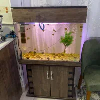 آکواریوم با کمد و تاج درحد نو