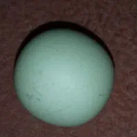 الماس اسیاب|کلکسیون اشیاء عتیقه|بندر گناوه, |دیوار