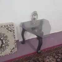 یک گلدان میز عسلی اینه وجاکفشی آنی اف میز تلوزیون