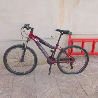 دوچرخه