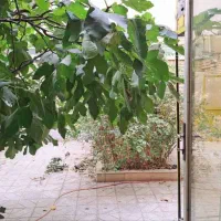 231متر زمین/ دونبش/ حاشیه فدائیان اسلام/