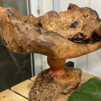 ظرف میوه