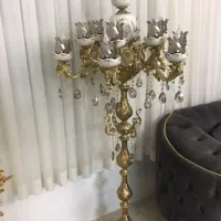 کنار سالنی پنج شاخه دوبل