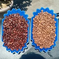 فروش عمده خورده قهوه بازار بزرگ