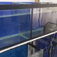 فروش ویژه اکواریوم و لوازم جانبی