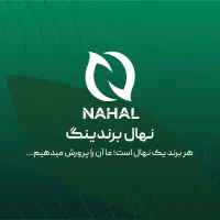 خدمات طراحی اپلیکیشن / سایت و سئو