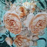 پتو ترولایو