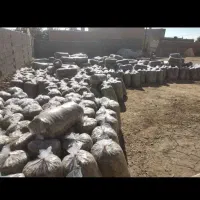 ذرت علوفه ای پردان بسته بندی شده