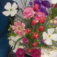 سرویس دهی وخریدمنزل وارایشگاهی