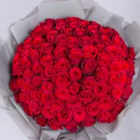 ** باغ عروسی بدون ورودی شام **