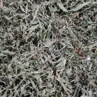 باغا یارپاقی