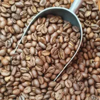میکس ترکیب قهوه صد روبوستا 100 فول کافئین فول کرما