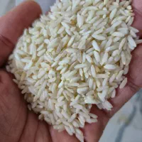 برنج عنبر بو و لاشه هاشمی 1500|خوردنی و آشامیدنی|محمدشهر, محمدشهر|دیوار