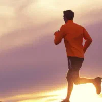 پیاده روی. کوه. شنا. دو