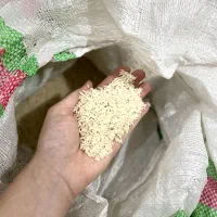 برنج هاشمی امسال
