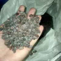 کشمش تازه تاکستان