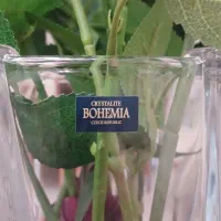 گلدان BOHEMIA|صنایع دستی و سایر لوازم تزئینی|تهران, باغ فیض|دیوار