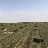 یونجه انباری