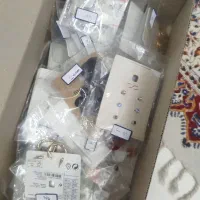 گوشواره بدلیجات