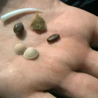 مهره اصل|بدلیجات|اهواز, کوروش|دیوار