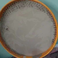 دف نو با کاورش