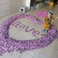 تور کاشان نیاسر مشهد اردهال و باغ گل سه شنبه ۲۹ ام