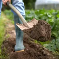 خاک باغچه زراعی و کود پوسیده