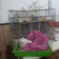 قفس پرنده