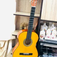 گیتار درحدنو