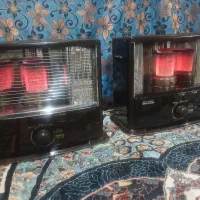 تیوست ژاپنی