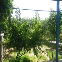 خانه باغچه ویلایی خسروشاه خسروشهر|فروش خانه و ویلا|تبریز, |دیوار