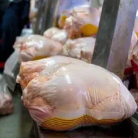 نیروی کار در مرغ و ماهی و گوشت برادران سلیمیان|استخدام خدمات فروشگاه و رستوران|مشهد, چهنو|دیوار