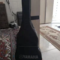 کیف هاردکیس گیتار و یک عدد کاپو